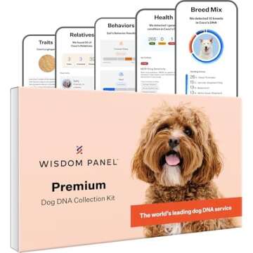Dog Product Ideas From Veterinarian