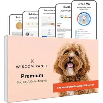 Dog Product Ideas From Veterinarian