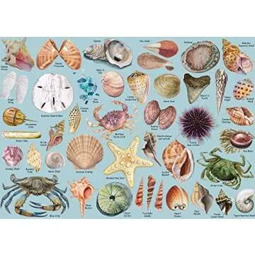 Ocean - Learning Resources