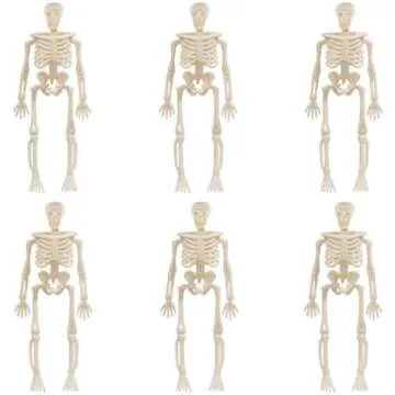 Halloween Decor & Outfits