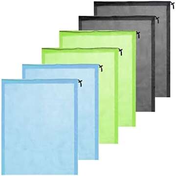 Scalloping In Florida