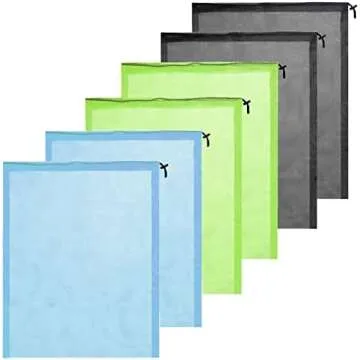 Scalloping In Florida