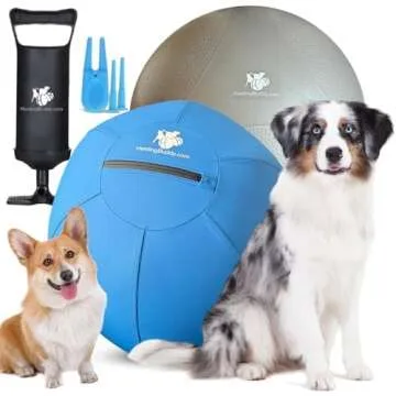 ACTIVE DOG GIFT GUIDE