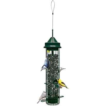 Attract Most Backyard Birds (No Squirrels)