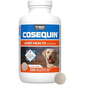 pet essentials!! 🐾