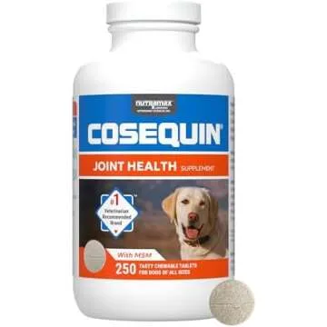 pet essentials!! 🐾