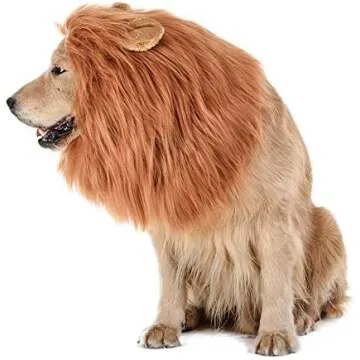 For the Pets