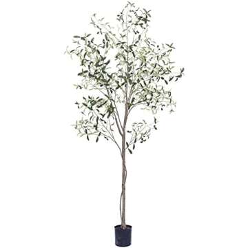 Olive Tree + Planter