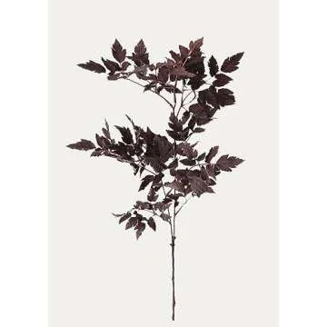 Fall 23’ home decor