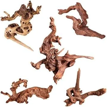 Madison's Fish Tank Faves