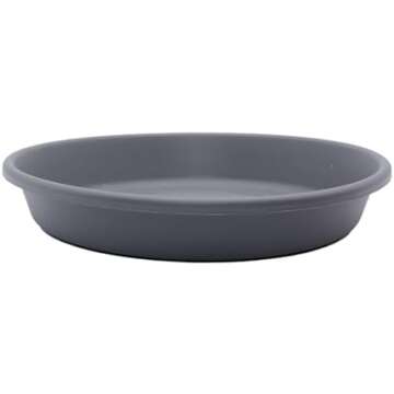 Gardening/Birds/Nature