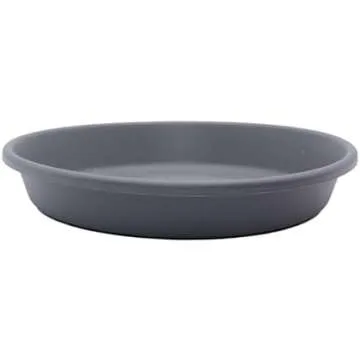 Gardening/Birds/Nature