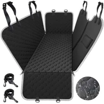 Giant Dog necessities