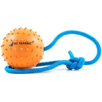 Dog Training and Care