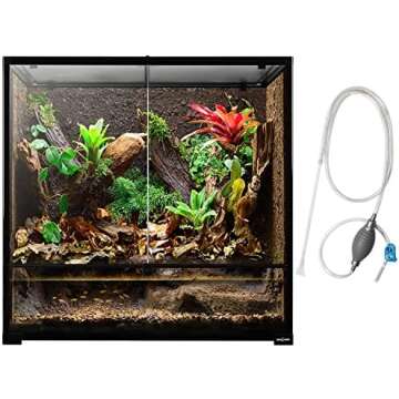 Terrariums & Exo Set Up