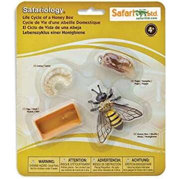 Insects & Minibeasts