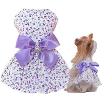 Spring/Summer Dresses