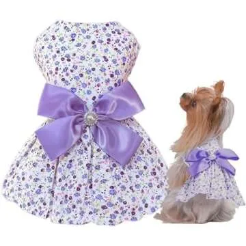 Spring/Summer Dresses