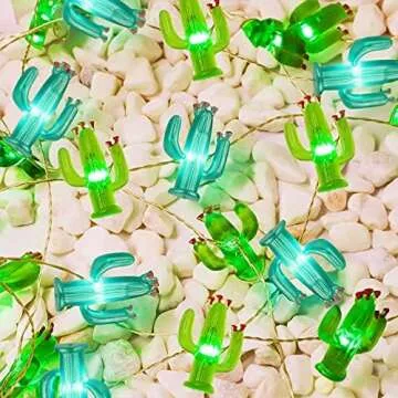 Cactus Magazine Shop