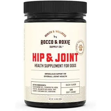 Our Favorite Supplements for Dogs