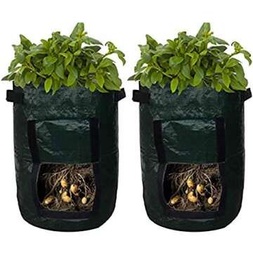 Gardening - Outdoors