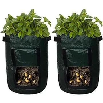 Gardening - Outdoors