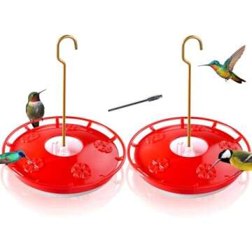 Best Backyard Bird Supplies