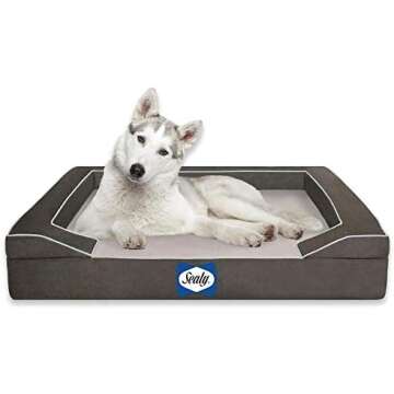 Pet Care - Dogs and Cats