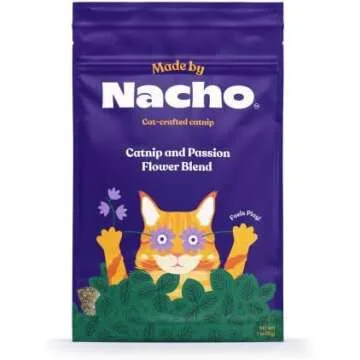 Baby Cat's Favorite Things