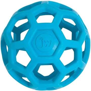 Fun and Durable Toys