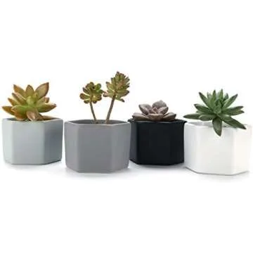 Terri's Favorite Items