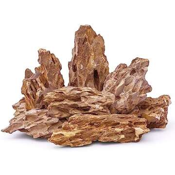 Planted Aquarium essentials 🌱