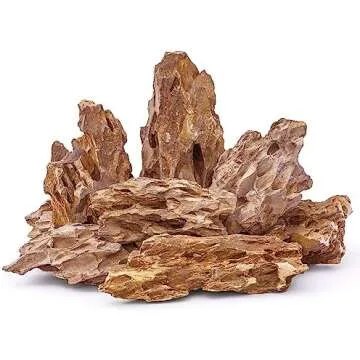 Planted Aquarium essentials 🌱