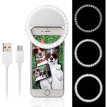 Content Creation Must-haves