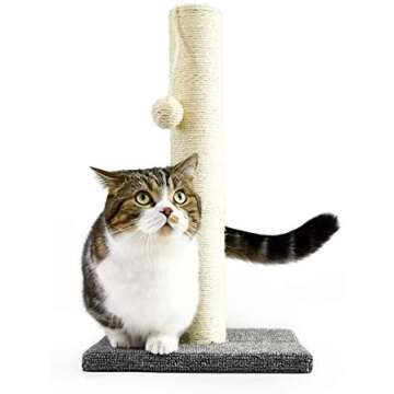 Scratching Posts