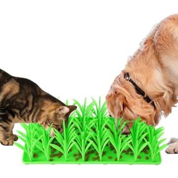 Cat Toys That Are Purfect For Your Cat!