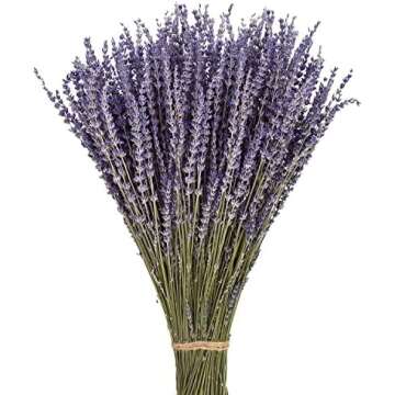 Props for Bookstagram