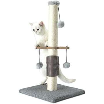 Cat Scratching Posts