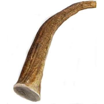Antler Dog Chews for Our Big Dog Furiends