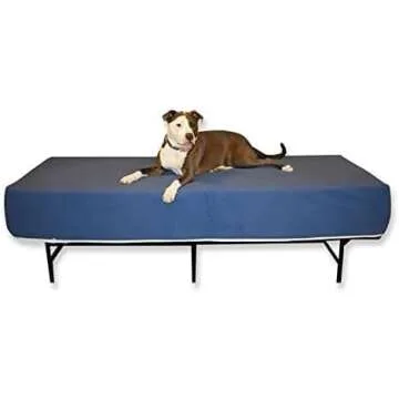 Fur Babies: The Puppies (Weimaraners)