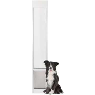 Dog & pet must haves