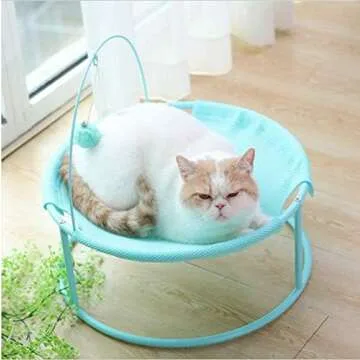 Recommended Foster Products