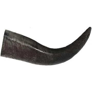 Adult Dog Transition Items and Helps