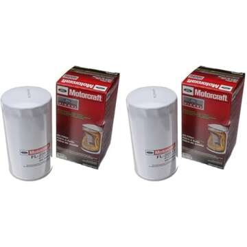 Electric Smoker Ovens