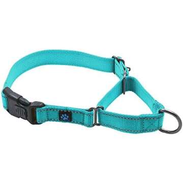 Collars, Leashes, Harnesses