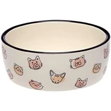 Cat Things 🐱💕🫶😆