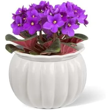 My Self-Watering Pots