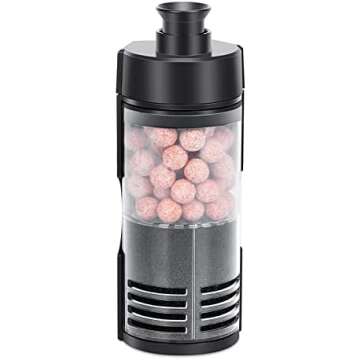 Betta Fish basics 🐠