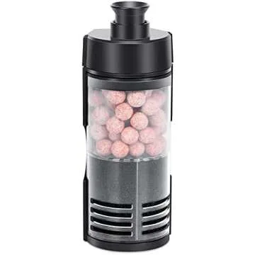 Betta Fish basics 🐠