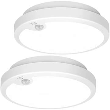 Storage and Shop Ideas